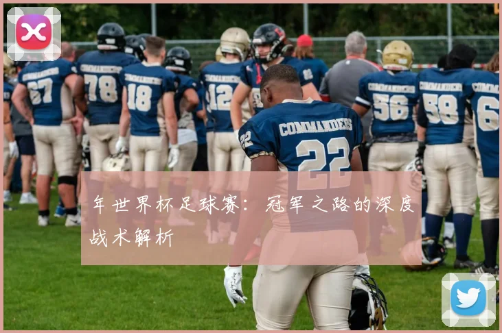 年世界杯足球赛：冠军之路的深度战术解析