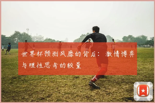 世界杯预测风靡的背后:激情博弈与理性思考的较量