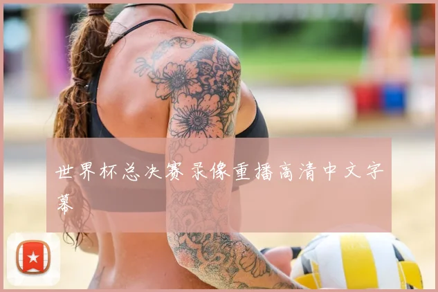 世界杯总决赛录像重播高清中文字幕