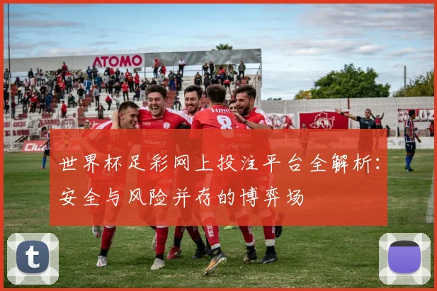 世界杯足彩网上投注平台全解析:安全与风险并存的博弈场