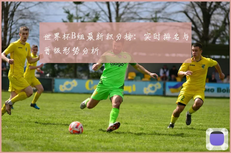 世界杯B组最新积分榜：实时排名与晋级形势分析