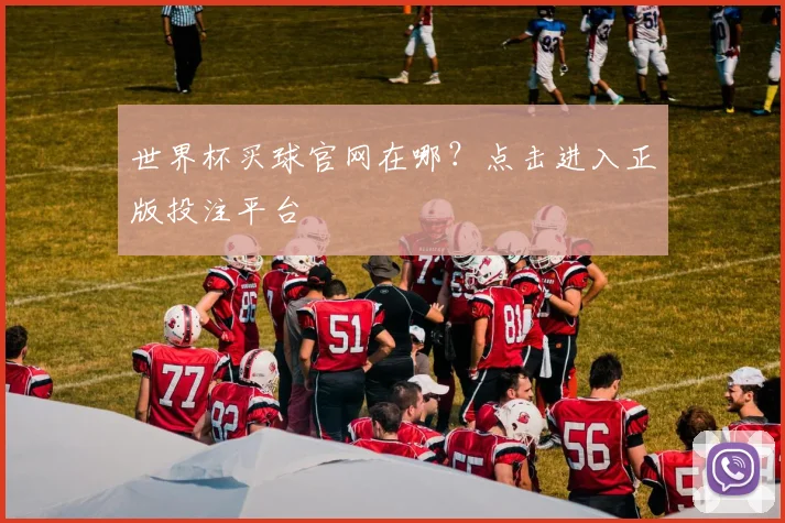 世界杯买球官网在哪?点击进入正版投注平台